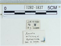 登錄號:001282-01837藏品圖，第3張