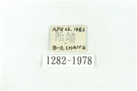 臺雪苔蛾藏品圖，第3張