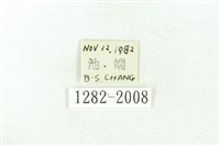 臺雪苔蛾藏品圖，第3張