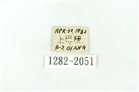 臺雪苔蛾藏品圖，第3張