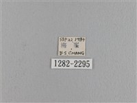 波紋枯葉蛾藏品圖，第3張