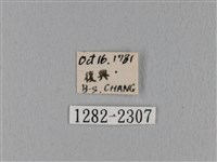 鋸緣枯葉蛾藏品圖，第3張