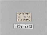 褐斜帶枯葉蛾藏品圖，第3張