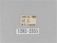 褐斜帶枯葉蛾藏品圖，第3張