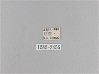 松大毛蟲藏品圖，第3張