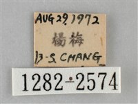 扁刺蛾藏品圖，第3張
