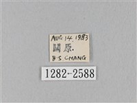 褐斜帶枯葉蛾藏品圖，第3張