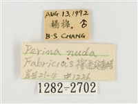 榕透翅毒蛾藏品圖，第3張