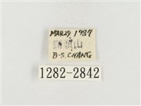 榕透翅毒蛾藏品圖，第3張