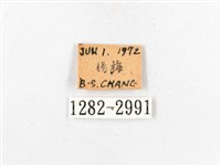 木毒蛾藏品圖，第3張