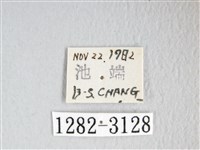 彌新冥枯葉蛾藏品圖，第3張