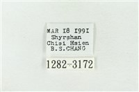 連珠波紋蛾藏品圖，第3張