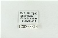 連珠波紋蛾藏品圖，第3張