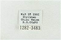 連珠波紋蛾藏品圖，第3張