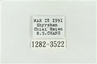 印華波紋蛾藏品圖，第3張