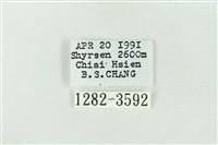 印華波紋蛾藏品圖，第3張