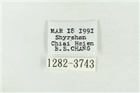 連珠波紋蛾藏品圖，第3張