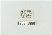 印華波紋蛾藏品圖，第3張