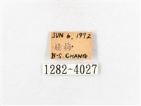 木毒蛾藏品圖，第3張