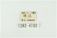 黑翅黃毒蛾藏品圖，第3張