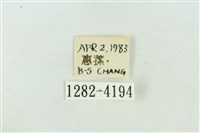 菊池污燈蛾藏品圖，第3張