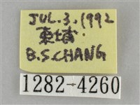 眉原褐刺蛾藏品圖，第3張