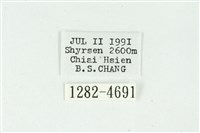 白斑散紋夜蛾藏品圖，第3張