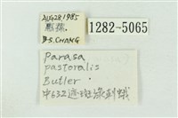 基黃綠刺蛾藏品圖，第3張