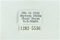 粉紅帶散紋夜蛾藏品圖，第3張