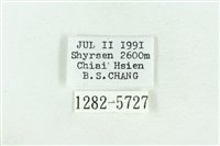 粉紅帶散紋夜蛾藏品圖，第3張