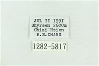 粉紅帶散紋夜蛾藏品圖，第3張