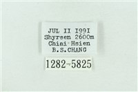 粉紅帶散紋夜蛾藏品圖，第3張