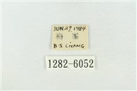 臺灣銀斑異波紋蛾藏品圖，第3張