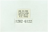 粉紅帶散紋夜蛾藏品圖，第3張