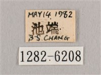 銀端帶鉤蛾藏品圖，第3張
