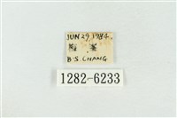 臺灣銀斑異波紋蛾藏品圖，第3張