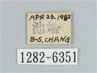 銀端帶鉤蛾藏品圖，第3張