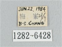 銀端帶鉤蛾藏品圖，第3張