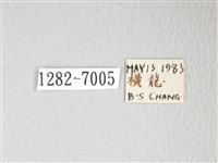 圓翅大鉤蛾藏品圖，第3張