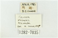 素木綠刺蛾藏品圖，第3張