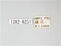 圓翅大鉤蛾藏品圖，第3張