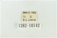 圍異波紋蛾藏品圖，第3張