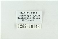 連珠波紋蛾藏品圖，第3張