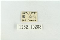 圍異波紋蛾藏品圖，第3張