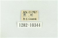 圍異波紋蛾藏品圖，第3張