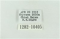 臺美波紋蛾藏品圖，第3張