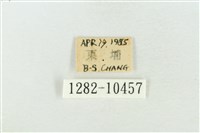 圍異波紋蛾藏品圖，第3張