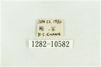 紅暈散紋夜蛾藏品圖，第3張