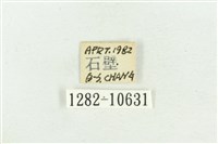 紅暈散紋夜蛾藏品圖，第3張