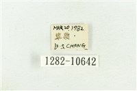 紅暈散紋夜蛾藏品圖，第3張